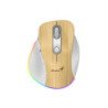 MOUSE GENIUS WIRELESS ERGO 9000S PRO P.W