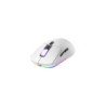 Mouse Gamer Raptor Storm Grip Wireless 7 botones 24000dpi RGB Pixart Sensor White